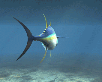 Tuna fish animation 