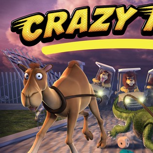 Crazy race