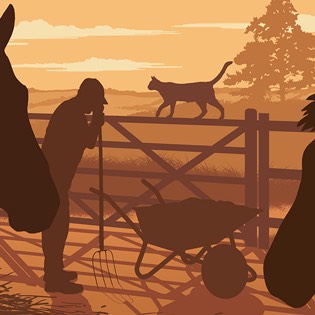 Pony story cover illustration 
