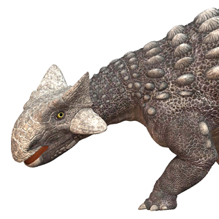 Ankylosaurus