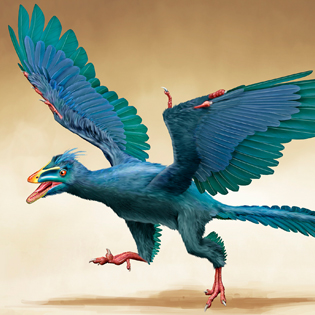 Archaeopteryx 