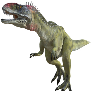 Yangchuanosaurus 
