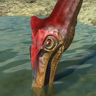 Pelecanimimus 