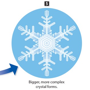 Formation of a snowflake 