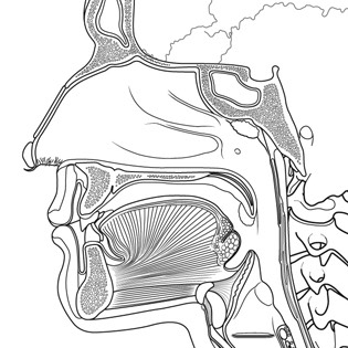 Medical lineart 