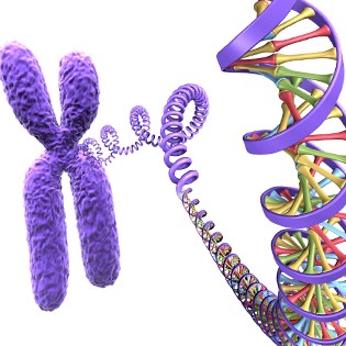 DNA strand 